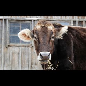 Meet your Posher, Claire